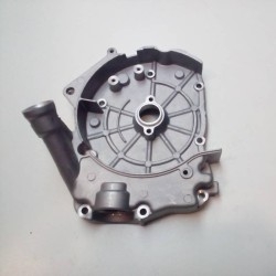 carter encendido scooter con motor 152QMI